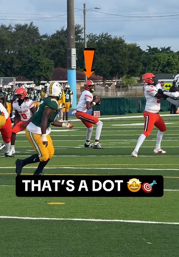 Perfect Quarterback Pass to Receiver Touchdown