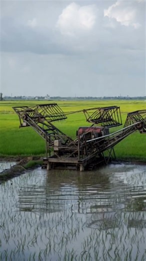 Homemade Mech Stands Tall in the Rice Fields
