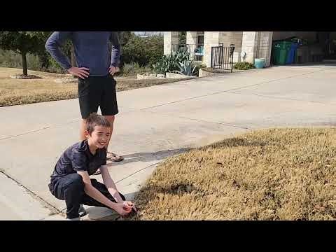 Aiden's Irrigation Maintenance - Commercial