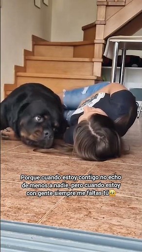 You’re so cuddly, little bear Rottweiler 🥹🖤🐾 ❤️