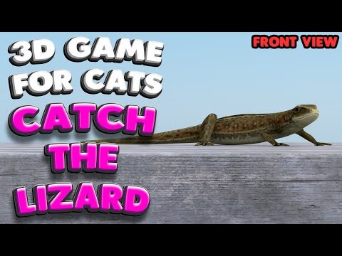 3D game for cats | CATCH THE LIZARD (front view) | 4K, 60 fps, stereo sound