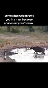 Sometimes God close all the doors and windows because there is a storm outside. Sometimes God makes you stuck in a phase so that the danger can pass by and won't be able to reach you. Change your mindset. You are exactly where you need to be. | Time Will Tell