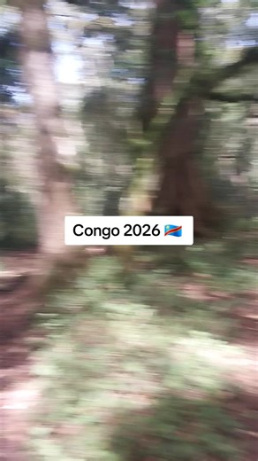 Congo 2026: Current Situation and Action Updates