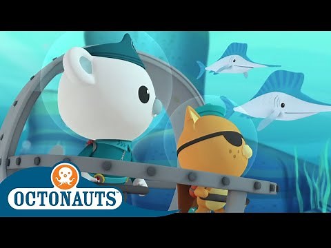 Octonauts - Paddling Next to Fishes | Cartoons for Kids | Underwater Sea Education
