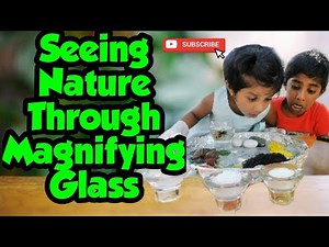 Seeing Nature Through Magnifying Glass | Earth Worms | Snails | Ants | Fishes | Rocks | Leaves |