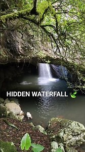 Hidden Natural Bridge Waterfall 🌿 | Scenic Travel Sights
