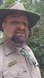 32K views · 1.2K reactions | After taking years and years to bloom and make seed, the trillium plant enlists the help of ants and wasps to spread its young across the redwood forest. Here's how... | Redwoods Rising | Facebook