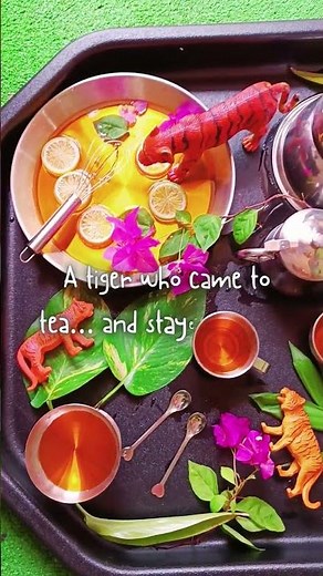 The Tiger Who Came to Tea | Storytime Sensory Play Activity #storytime #pretendplay #tufftray
