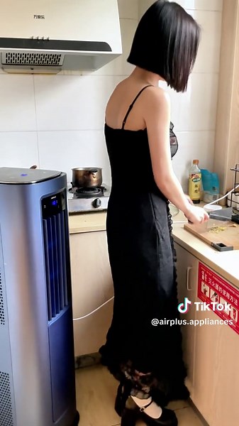 AIRPLUS 12000 BTU Portable Air Conditioner up to 500 Sq.Ft. with Remote Control #householdappliance #portableairconditioner #airconditioner