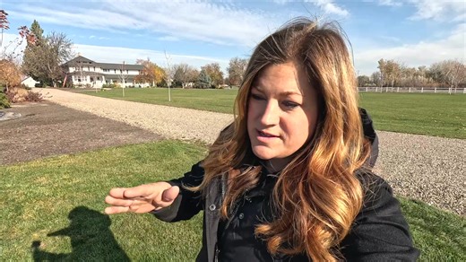 92K views · 6.3K reactions | Planting Lots of Daffodils & Tulips in the Cut Flower Garden! ✂️ | Garden Answer | Facebook