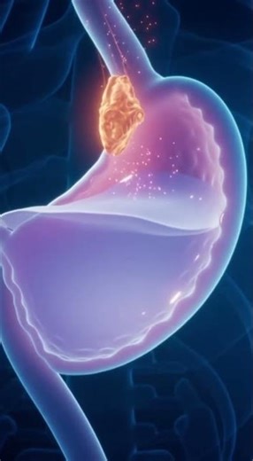 Body Craft 3D – Explore the Human Body Like Never Before! #shorts #3dbody #bodycare