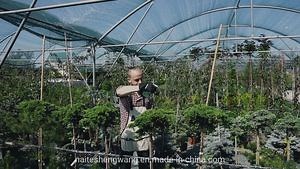 [Hot Item] 40X50m 60% Sunblock Custom Agriculture Farm Shade Cloth with Grommets