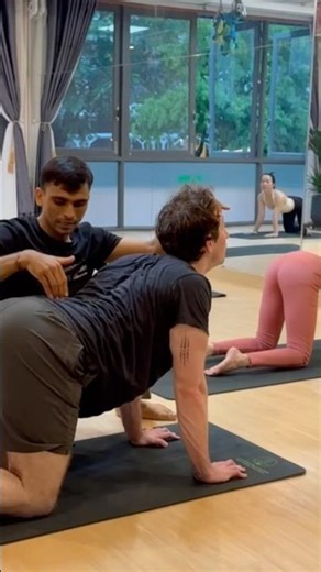 Cat pose alignment | how to do Cat 🐈 cow pose #catpose #cowpose #backbend