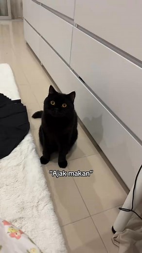 45K views · 3K reactions | Oh my jep on Reels | Facebook