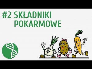 Składniki pokarmowe #2 [ Odżywianie ]