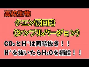 高校生物「クエン酸回路（シンプルバージョン）」