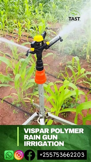 ufanisi wa matumizi ya umwagiliaji VISPAR Rain gun irrigation#tast#farming#kilimo #agriculture#tasty