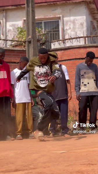 Bosco: Small Dog and His Big Stick Moment