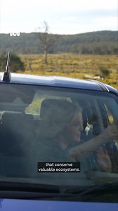 350K views · 9K reactions | A billionaire couple is the unlikely buyer of 5000 hectares of private property in Tasmania, hoping to restore the land.  By Ashleigh Barraclough via ABC News Tasmania. Personalise your news and stay in the know with the ABC NEWS app: https://ab.co/abcnewsapp #Tasmania #Tas #Regeneration | ABC Hobart | Facebook