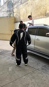 55K views · 708 reactions | Aggressive Malinois First Time Getting...