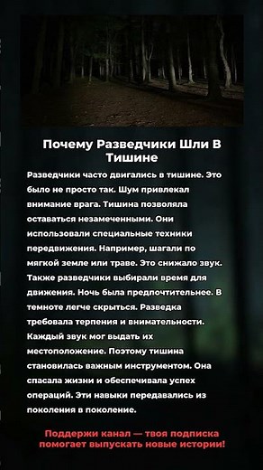Как разведчики выживали в тишине на войне #военныеистории