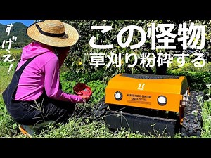 Radio-controlled grass cutter: Cut the grass from a distance in a forest of nasty weeds | HAIGE