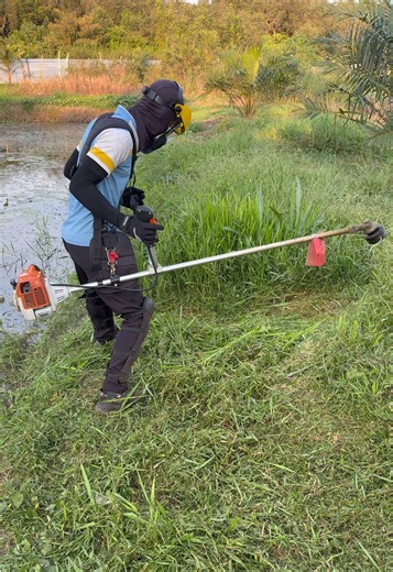 Stihl fs 250 dan senar pancing | stihl cortador