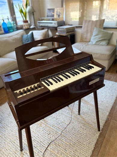 Magnus Electric Chord Organ 670 - Vintage Collector's Item in Prachtige Staat Op Pootjes - Etsy Canada