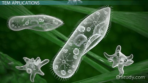 Transmission Electron Microscopy: Theory & Applications