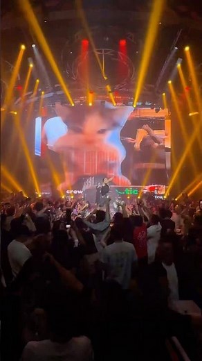 KICAU MANIA ( WUKONG REMIX) #djwukong #kicaumania