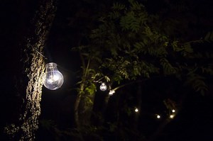 Illuminez votre jardin avec un éclairage LED