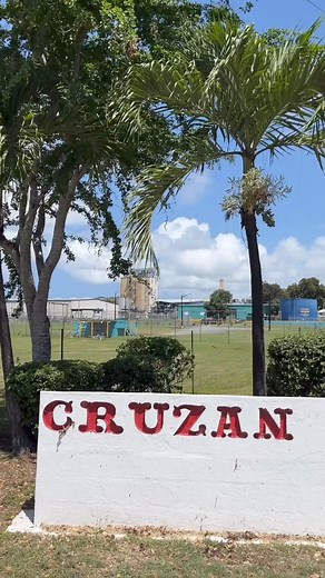 Exciting news! Cruzan Rum is open to the public once again! Guests are invited to tour the facility, and learn more about the process of making the iconic Cruzan Rum. Since the early 17th century, St. Croix has been making use of its natural resources locally as well as exporting them worldwide, most notably, rum. At one time, over 150 plantations were producing molasses and rum at their factories. Today, the tradition of making rum on St. Croix is carried on by the Nelthropp family at Cruzan Ru