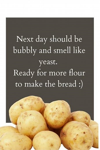 How to make yeast out of potato? #yeast #potatoeyeast #howto