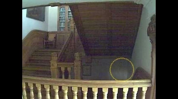 Haunted Willard Library Image of a ghost captured on the ghost cams at Willard Library #paranormaltiktok #paranormal #ghostpicture