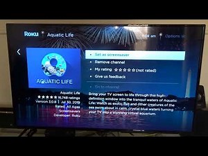 how to change Roku theme and screensaver