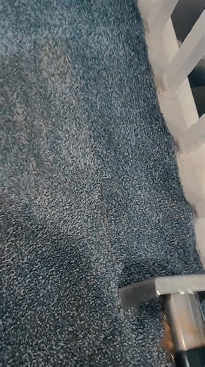 Mega results | The steam team