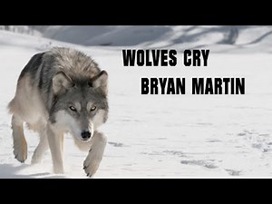 "Wolves Cry" - Bryan Martin | Firefighter Tribute