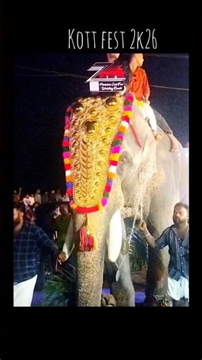 Kott fest 2k26🐘#kottfest #kottfesttirur #2026 #festival #tirur #trending #trendingonshorts #viral