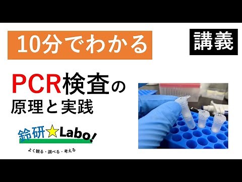 10分でわかる　PCR検査の原理と実践