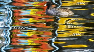 Take This Test To See How You Perceive Color