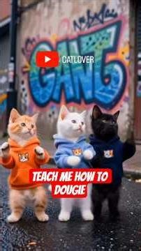 These Cats knows how to Dougie 😲