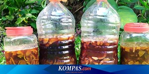 Cara Membuat Eco Enzyme, Bahan Pembersih Rumah yang Terbuat dari Sampah Dapur