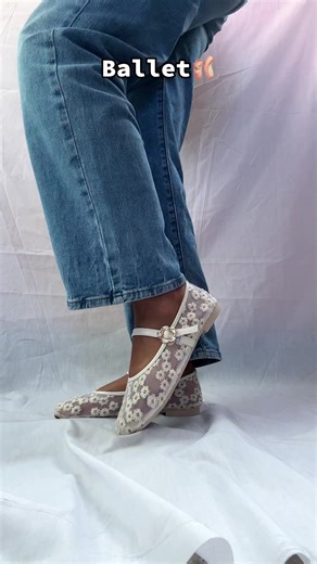 Ballet Shoe Collection for Dance Enthusiasts