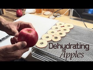 Dehydrating Apples And Vacuum Sealing In Jars For Long Term Storage