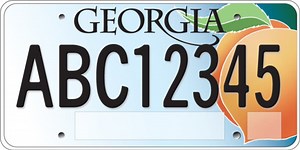Vote for Design of New Georgia License Plates