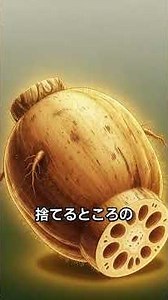 【医師解説】レンコンが“悟りの食材”と呼ばれる理由｜免疫力・美肌・長寿を叶える仏教と科学の奇跡🌸