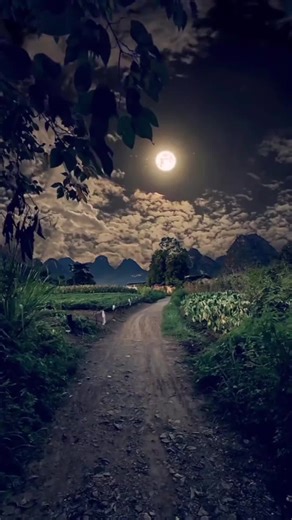 angel without wings on TikTok