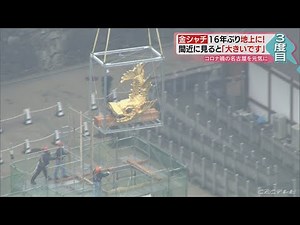 名古屋城の金シャチ…16年ぶり地上に降臨　コロナ禍を元気に　過去にも…