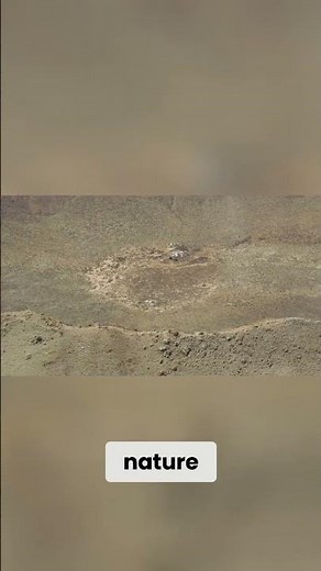 Unbelievable Impact! The Tunguska Event: Nature's Epic Wrath in the Siberian Taiga!