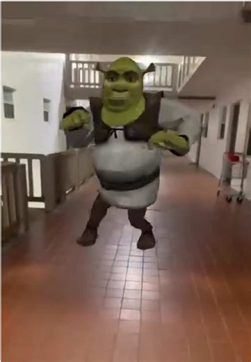 Why is Shrek just randomly dancing??? 😭 #shrek #memes #shrekmemes #shrekisloveshrekislife #meme